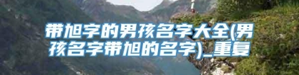 带旭字的男孩名字大全(男孩名字带旭的名字)_重复