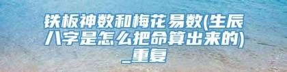 铁板神数和梅花易数(生辰八字是怎么把命算出来的)_重复