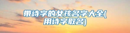 带诗字的女孩名字大全(用诗字取名)