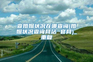 查婚姻状况在哪查询(婚姻状况查询网站 官网)_重复