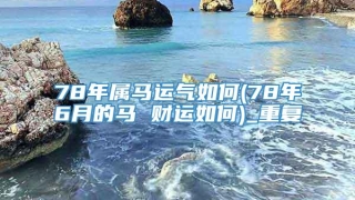 78年属马运气如何(78年6月的马 财运如何)_重复