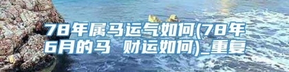 78年属马运气如何(78年6月的马 财运如何)_重复