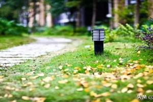 词语运用的角度有哪些角度(词语运用的角度是什么意思)