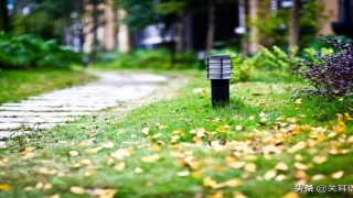 词语运用的角度有哪些角度(词语运用的角度是什么意思)