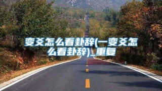 变爻怎么看卦辞(一变爻怎么看卦辞)_重复