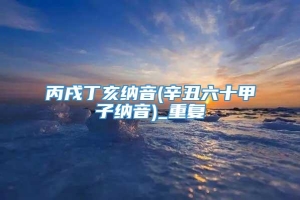 丙戌丁亥纳音(辛丑六十甲子纳音)_重复