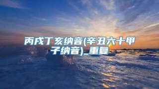 丙戌丁亥纳音(辛丑六十甲子纳音)_重复