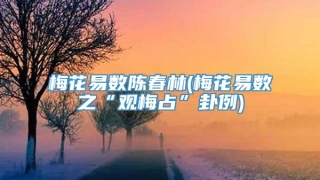 梅花易数陈春林(梅花易数之“观梅占”卦例)