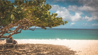 笔画测名字吉凶查询(起名的笔画)