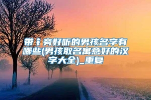 带钅旁好听的男孩名字有哪些(男孩取名寓意好的汉字大全)_重复