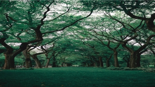 纳音五行表相生相克(纳音的相克与相生表)