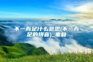 不一而足什么意思(不一而足的拼音)_重复