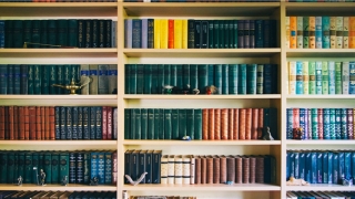 87年属兔的最佳配偶属相是什么(87年的生肖)