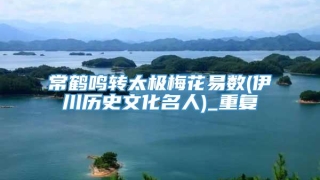 常鹤鸣转太极梅花易数(伊川历史文化名人)_重复