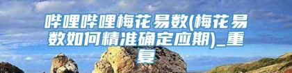 哔哩哔哩梅花易数(梅花易数如何精准确定应期)_重复