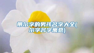 带尔字的男孩名字大全(尔字名字寓意)