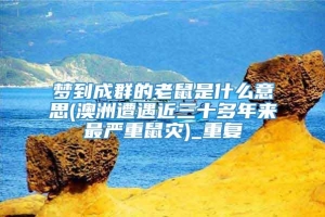 梦到成群的老鼠是什么意思(澳洲遭遇近三十多年来最严重鼠灾)_重复