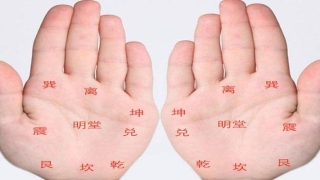 八卦方位代表家庭成员图解(手掌八卦点穴法与八卦方位和疾病的关系)