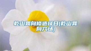 乾山巽向修造择日(乾山巽向穴场)