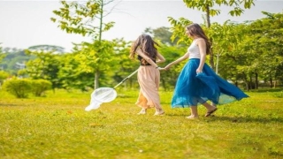 霸王鞭的风水寓意(你家的镇宅树选对了)