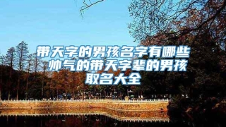 带天字的男孩名字有哪些 帅气的带天字辈的男孩取名大全