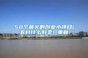 50个最火的创业小项目(农村什么好卖)_重复