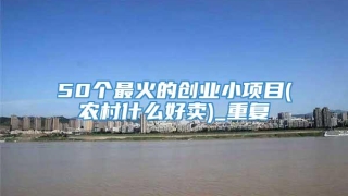 50个最火的创业小项目(农村什么好卖)_重复