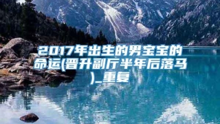 2017年出生的男宝宝的命运(晋升副厅半年后落马)_重复