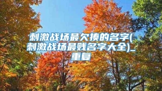 刺激战场最欠揍的名字(刺激战场最贱名字大全)_重复