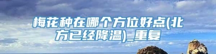 梅花种在哪个方位好点(北方已经降温)_重复