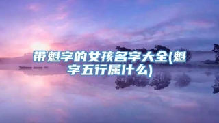 带魁字的女孩名字大全(魁字五行属什么)