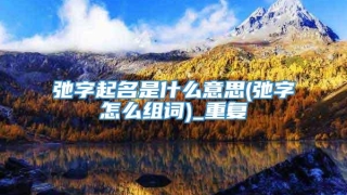弛字起名是什么意思(弛字怎么组词)_重复