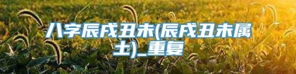 八字辰戌丑未(辰戌丑未属土)_重复