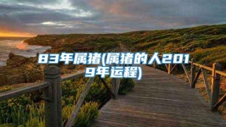 83年属猪(属猪的人2019年运程)