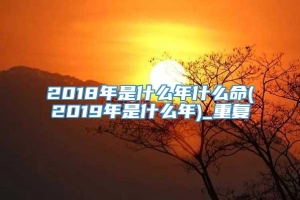 2018年是什么年什么命(2019年是什么年)_重复