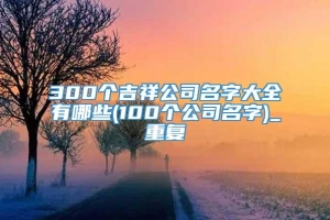 300个吉祥公司名字大全有哪些(100个公司名字)_重复