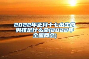 2022年正月十七出生的男孩是什么命(2022年全国两会)