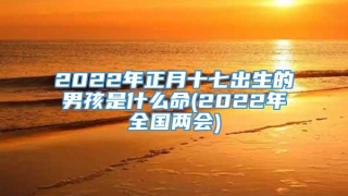 2022年正月十七出生的男孩是什么命(2022年全国两会)