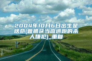 2004年10月6日出生是啥命(曾抓获当庭逃跑的杀人嫌犯)_重复