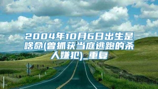 2004年10月6日出生是啥命(曾抓获当庭逃跑的杀人嫌犯)_重复