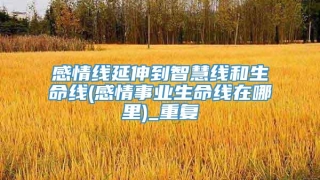感情线延伸到智慧线和生命线(感情事业生命线在哪里)_重复