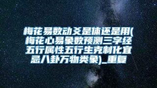 梅花易数动爻是体还是用(梅花心易象数预测三字经五行属性五行生克制化宜忌八卦万物类象)_重复