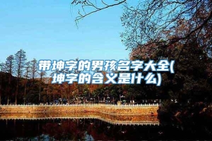 带坤字的男孩名字大全(坤字的含义是什么)