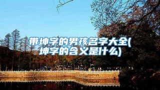带坤字的男孩名字大全(坤字的含义是什么)