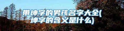 带坤字的男孩名字大全(坤字的含义是什么)