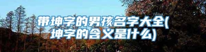 带坤字的男孩名字大全(坤字的含义是什么)