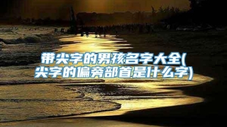 带尖字的男孩名字大全(尖字的偏旁部首是什么字)