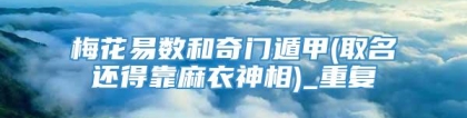 梅花易数和奇门遁甲(取名还得靠麻衣神相)_重复