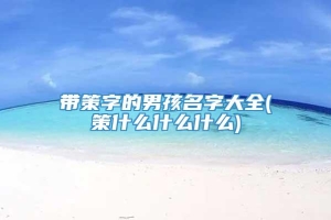 带策字的男孩名字大全(策什么什么什么)