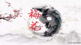 梅花易数解析(文王卦和梅花易数作为占卜)